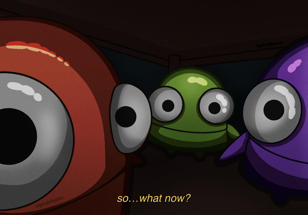 So...what now?