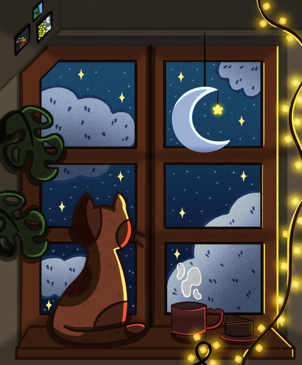 Cozy Night